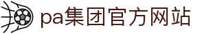 中国·PA(集团)股份有限公司-官方网站