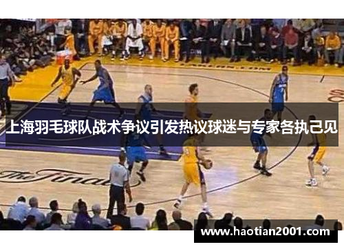 上海羽毛球队战术争议引发热议球迷与专家各执己见