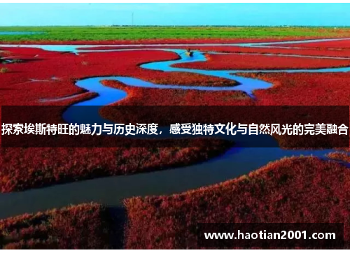 探索埃斯特旺的魅力与历史深度，感受独特文化与自然风光的完美融合