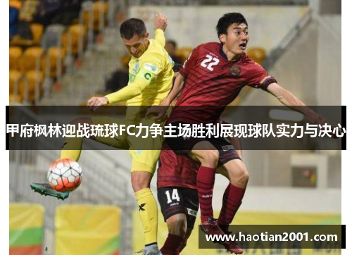 甲府枫林迎战琉球FC力争主场胜利展现球队实力与决心